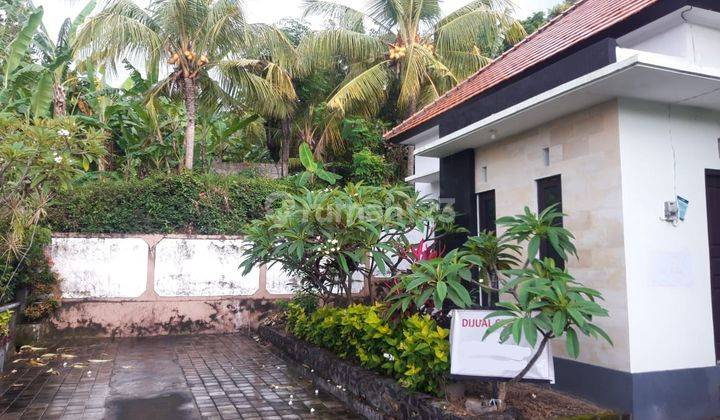 Dijual Rumah Minimalis Lingkungan Nyaman di Buleleng 13