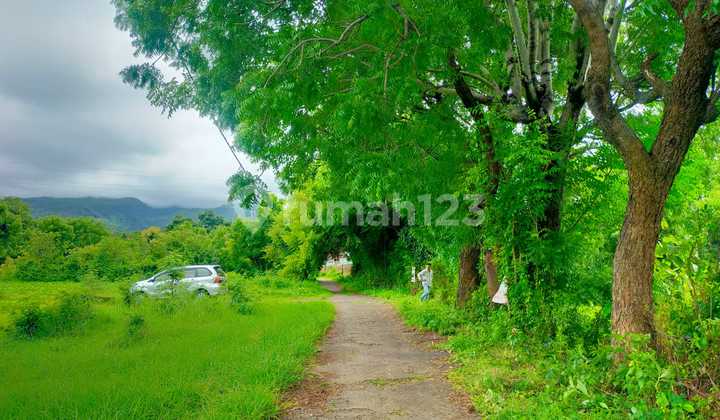 Dijual Tanah View Sunset Terbarik di Kayuputih Buleleng 1