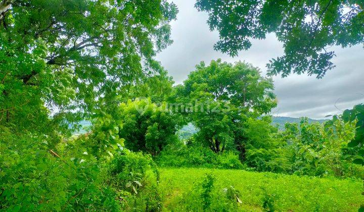 Dijual Tanah View Sunset Terbarik di Kayuputih Buleleng 6