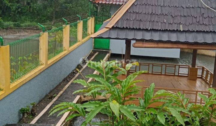 Dijual Rumah di Atas Kolam Ikan Yang Nyaman Di Tasikmalaya 2