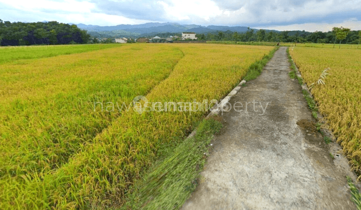 Tanah 4.999 M, di Kawasan Industri Magelang, Cocok Bangun Pabrik 6