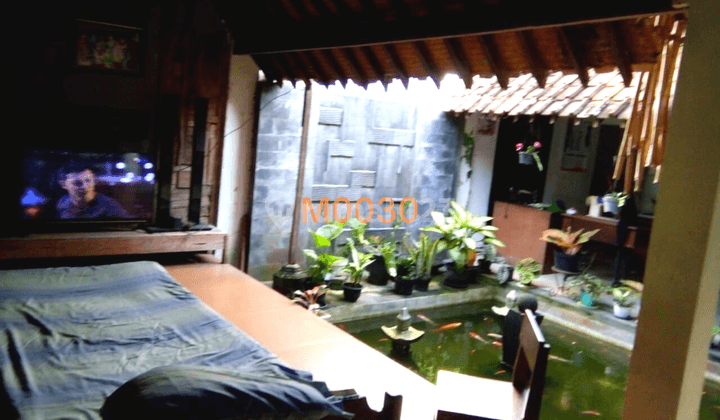 Rumah Klasik di Magelang Legalitas Shm, Siap Huni 2