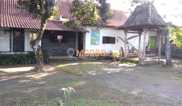 Rumah Klasik di Magelang Legalitas Shm, Siap Huni 5