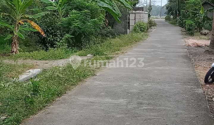 Tanah Hook Timur Bandara, 500 Jalan Provinsi 5