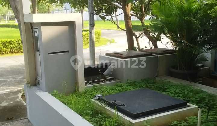 For Rent: Neo Vasana Cluster House, Still New, Never Occupied. 2