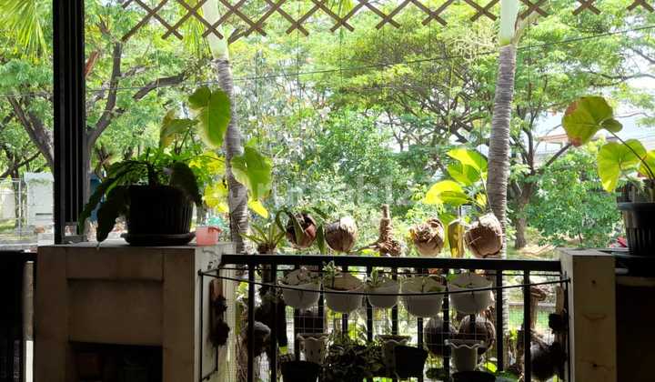 For Sale: Ifolia Cluster House Facing Park, Harapan Indah 2 Bekasi. 2