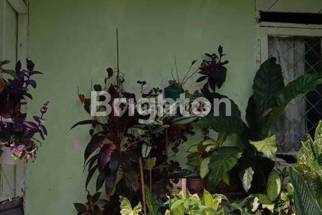 RUMAH TUA TANGERANG HITUNG TANAH 2