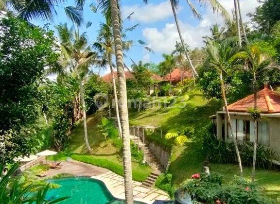 Selling Villa in North Ubud Close to The Kayon, Nice and Beautiful 1