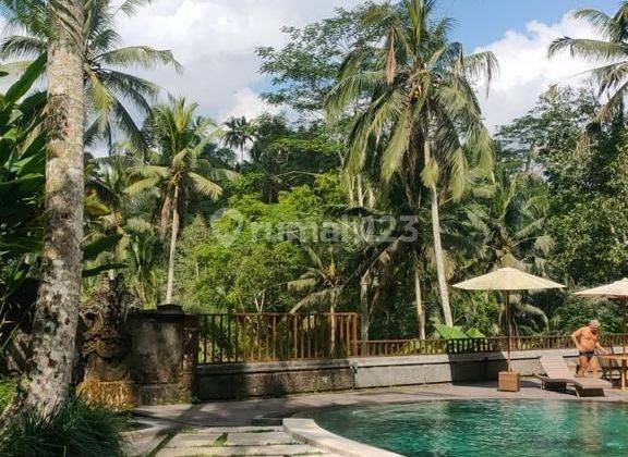 Selling Villa in North Ubud Close to The Kayon, Nice and Beautiful 2