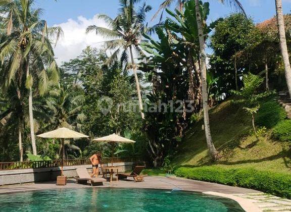 Jual Villa di Ubud Utara Dekat Dengan The Kayon, Bagus dan Asri 2