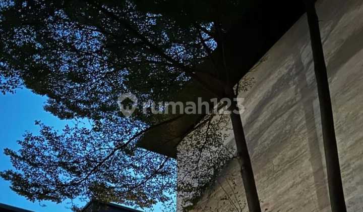 Rumah Mewah Jakarta, Sangat Nyaman Dan Keren 2