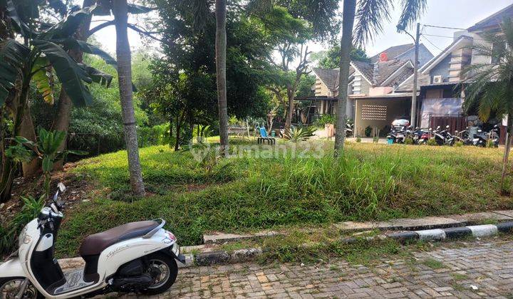 Rumah Samping Pusat Pemerintahan Walikota Tangerang Selatan 2