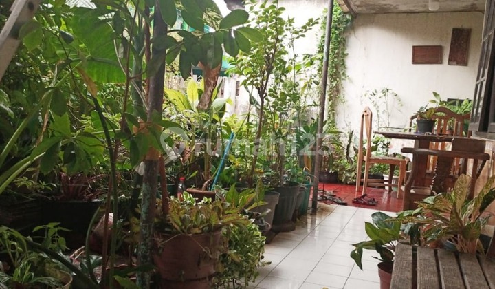 Old House in Complex Strategic Position_CPA3 2263 2