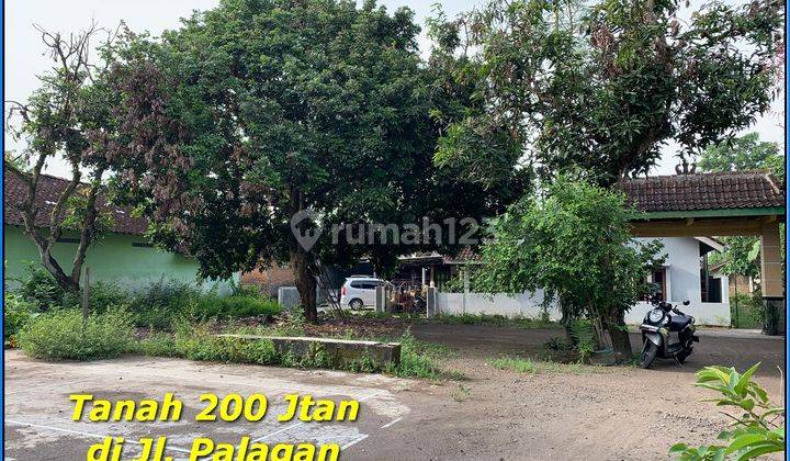 200 Jtan 8 Menit Ykpn Palagan Tanah Jogja SHM Pekarangan  2