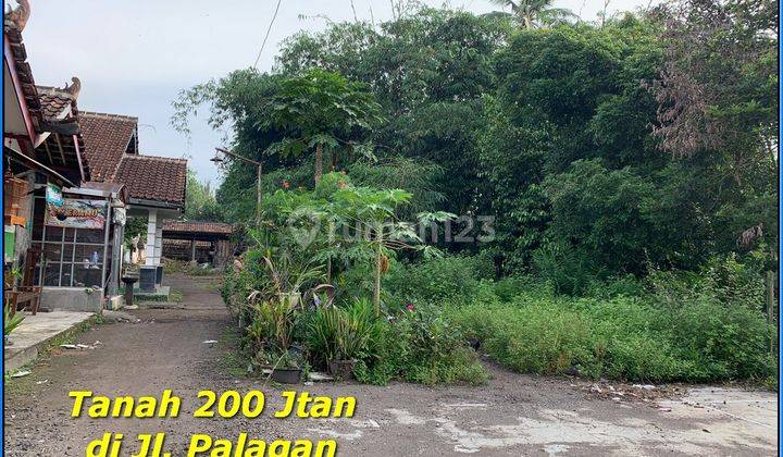 200 Jtan 8 Menit Ykpn Palagan Tanah Jogja SHM Pekarangan  1