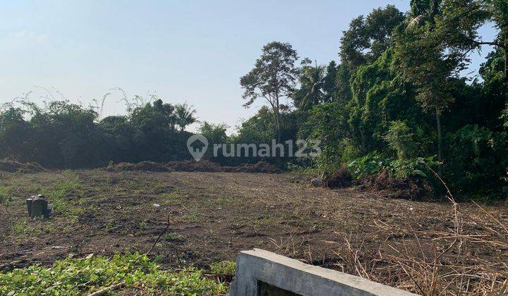 Tanah Kavling di Kalasan View Sawah Merapi, SHM Pekarangan 2