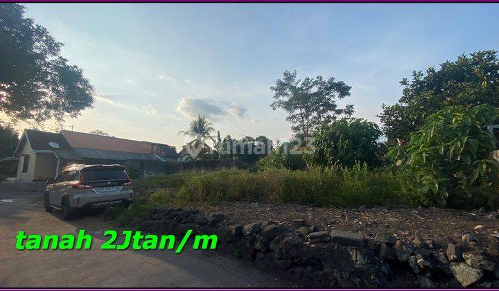 Aset Terbaik di Jogja 2 Jtaan 200 Meter Jl. Cangkringan Kalasan  2