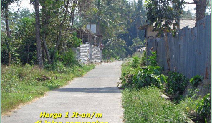 Akses Mobil Simpangan Tanah Jogja 5 Menit Pasar Jangkang Sleman 2