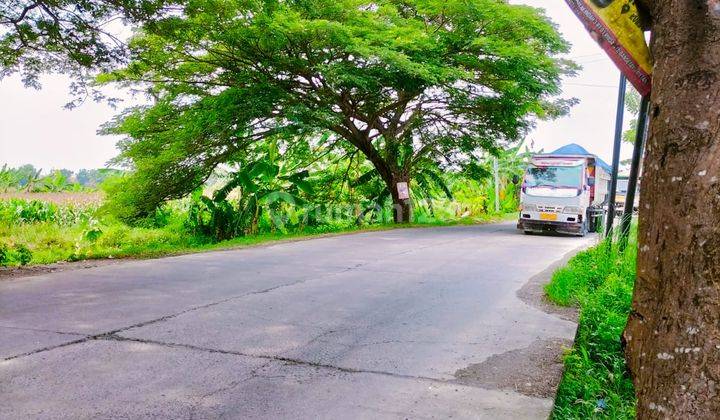 Tanah siap bangun, sudah hurug,mangku jalan utama  2