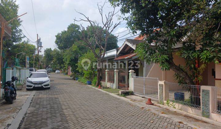 Rumah Siap Huni, Akses Mudah, Lingkungan Sudah Terbentuk  2