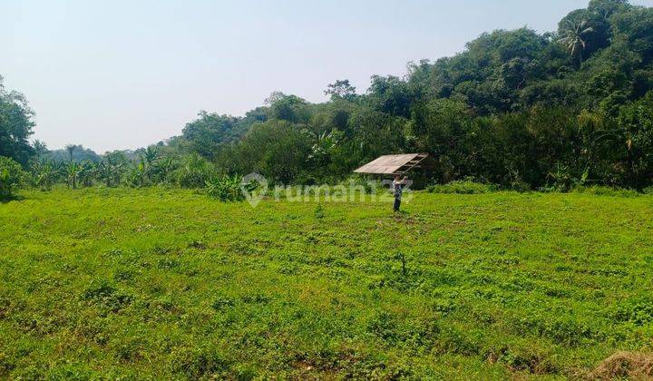 Tanah Darat Untuk Banyak Rencana Bogor Barat 2