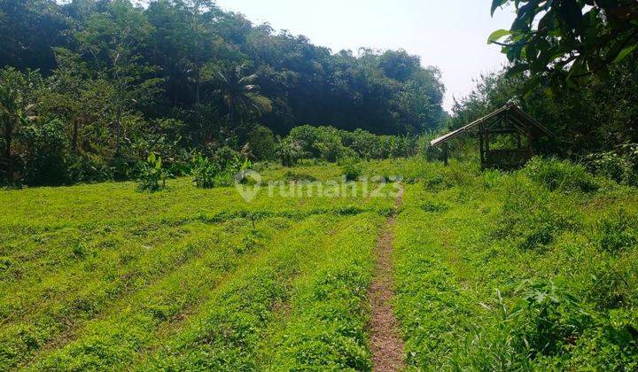 Tanah Darat Untuk Banyak Rencana Bogor barat 2