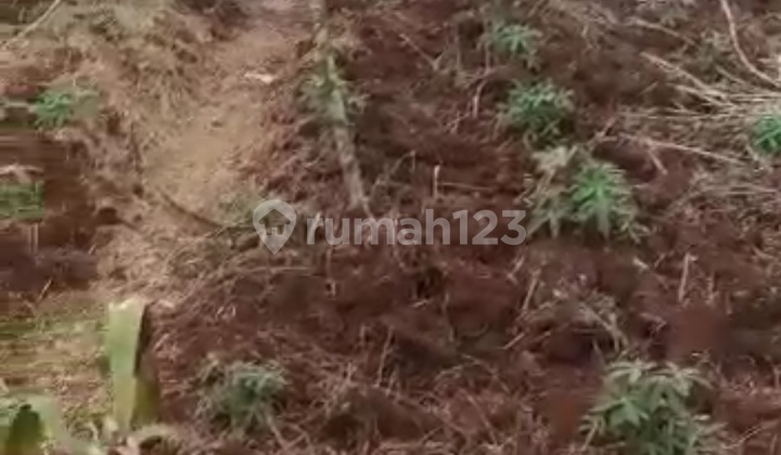 Dijual murah tanah kosong 4