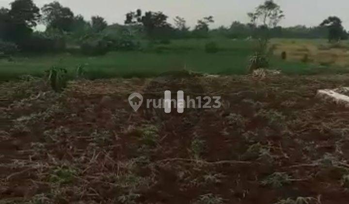 Dijual murah tanah kosong 5