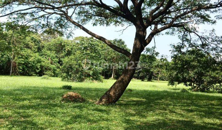 Dijual kapling taman permata golf, bagus dan murah 5