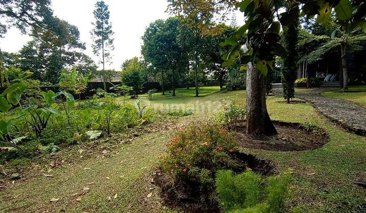 Jual Property Tepi Danau View Gunung Salak Ciapus Bogor 2