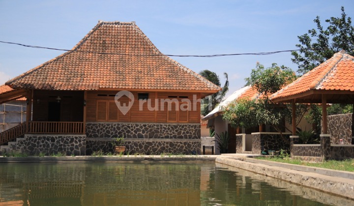 Suitable House for Sale as Villa in Kuningan - Mountain View, Cool and Fresh Air Suitable House for Sale as Villa in Kuningan - Mountain View, Cool and Fresh Air