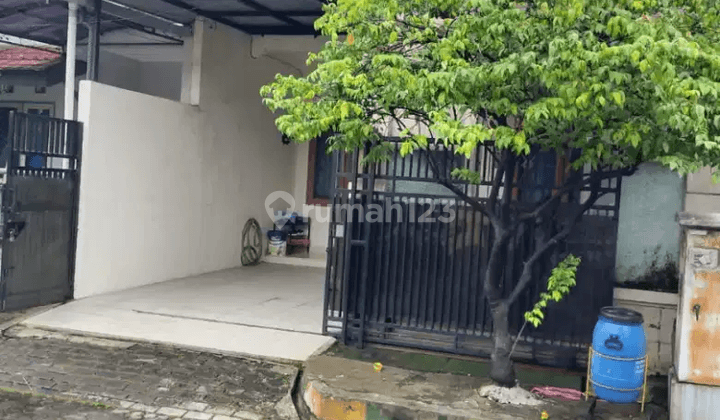 Asli Murah Dijual Rumah Cepat di Taman Royal 1 Perumahan Pinus Kota Tangerang 1