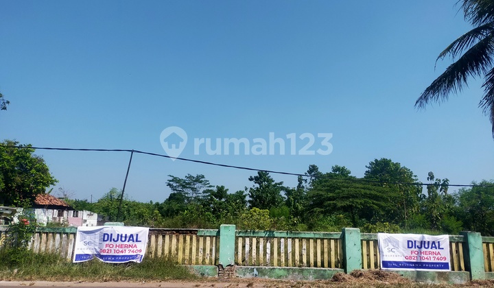 Asli MURAH!! Turun Harga Kav Karawang Golden Prawn Luas 9455 m2 Hanya 1.7jt /m2 Asli MURAH!! Turun Harga Kav Karawang Golden Prawn Luas 9455 m2 Hanya 1.7jt /m2