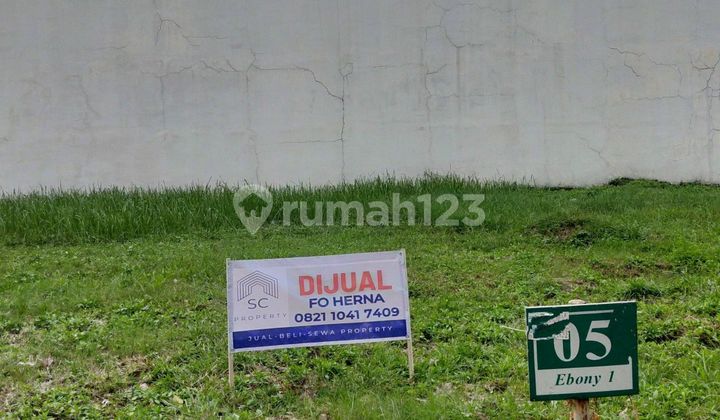 Original CHEAP!! Green Lake City Plot Cluster Australia Ebony UK 10x18 Only 19 million/m2