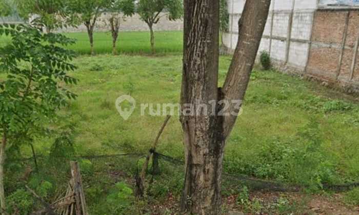 Tanah 586 m2 SHM jalan raya Jayabakti, Bekasi 1