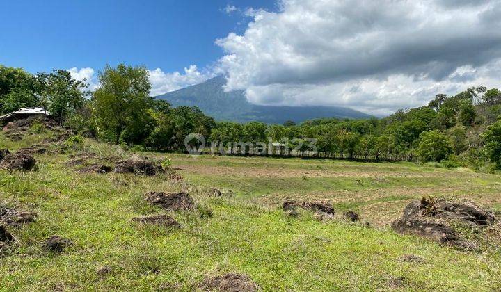 1,5 Ha Land Ocean View Ready To Build Datah Karangasem Bali 2