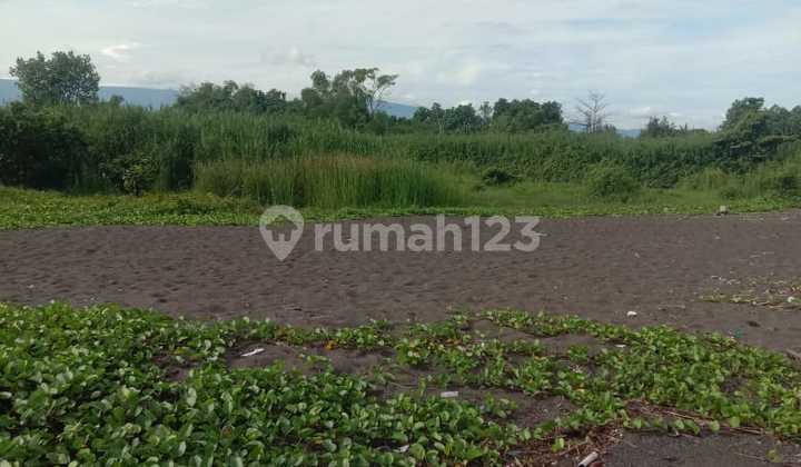 Cheap! 2.39 Ha Beachfront Near Kubutambahan Bali