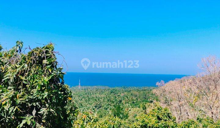 Ocean View Terasering Datar Pinggir Jalan Tejakula Buleleng  2