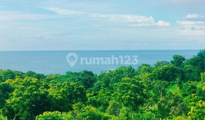 60 Juta Per Are Murah! Super Ocean View Bukti Kubutambahan Buleleng Bali 60 Juta Per Are Murah! Super Ocean View Bukti Kubutambahan Buleleng Bali