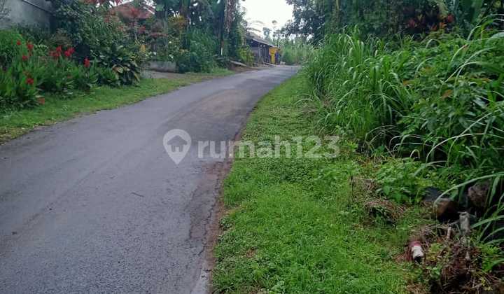8.22 Are Pinggir Jalan View Laut Gobleg Sukasada Buleleng Bali