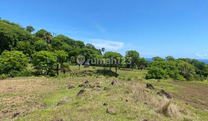 1,5 Ha Land Ocean View Ready To Build Datah Karangasem Bali 2