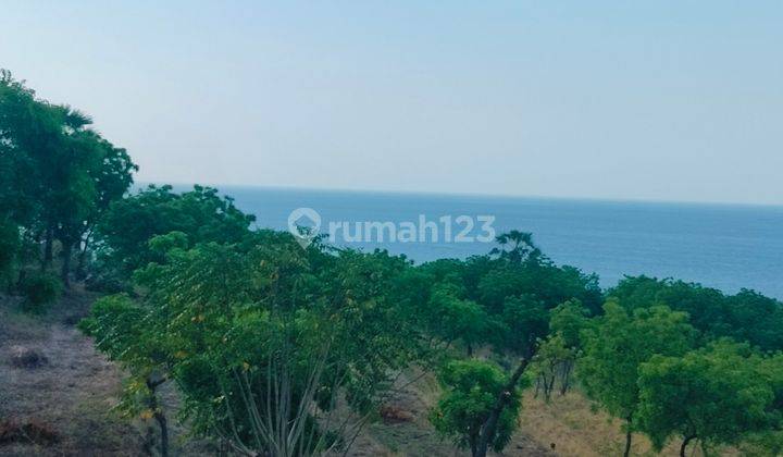 Very Super Ocean View! 8000m² Stunning Cheap! Kubutambahan Bali 2