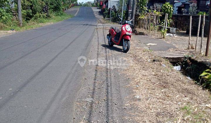 Pink Zone! 9.75 Are by the Road Wanagiri Munduk Buleleng Bali 1