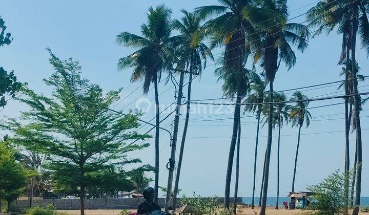 Pink Zone Beachfront Land 1200m2 SHM Main Road Kubutambahan Buleleng 2