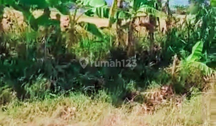 Beachfront Pinggir Pantai Penarukan Singaraja 7600m2
