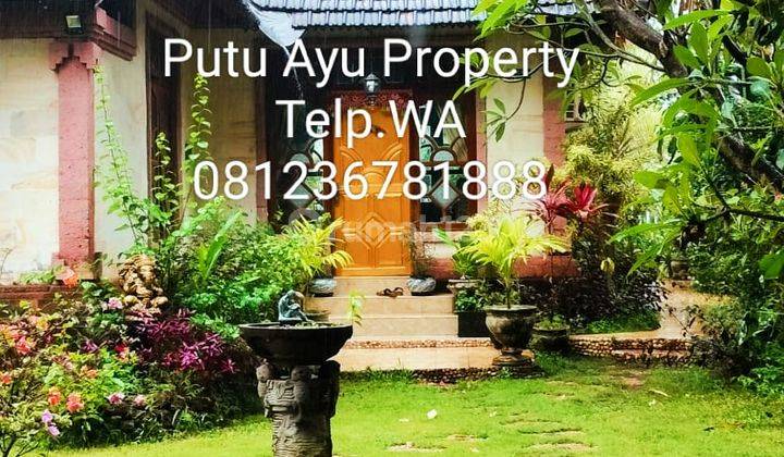 Murah Beachfront Villa Pinggir Jalan Utama Kubutambahan  2