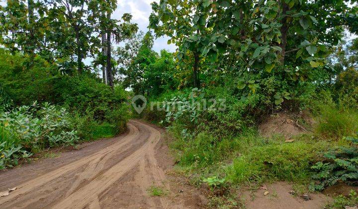 Cheap Strategic Land Ready to Build 6900m2 Bungkulan Buleleng Bali 1