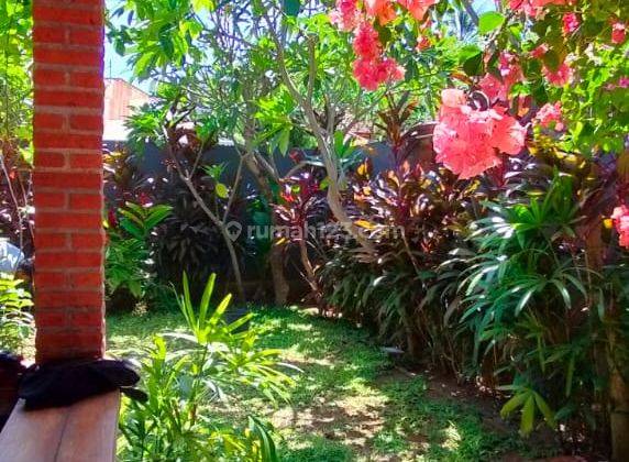 Cheap Minimalist Villa With Swimming Pool Kaliasem Lovina Bali 2