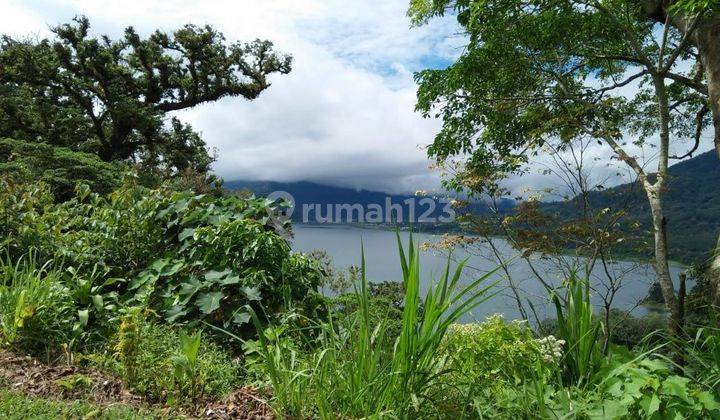 Tanah 23,25 Are Wanagiri Pinggir Jalan View Danau Buleleng Bali  1