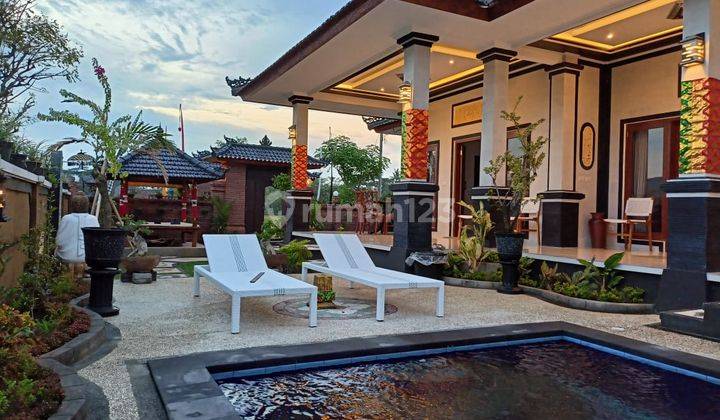 Brand New Villa View Perbukitan 4 BR With Swimming Pool Lovina  2